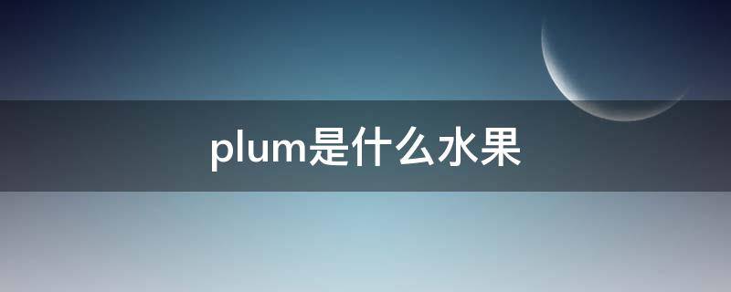 plum是什么水果