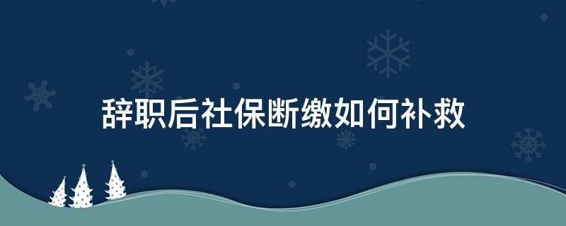 辞职后社保断缴如何补救