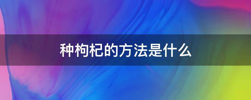 种枸杞的方法是什么