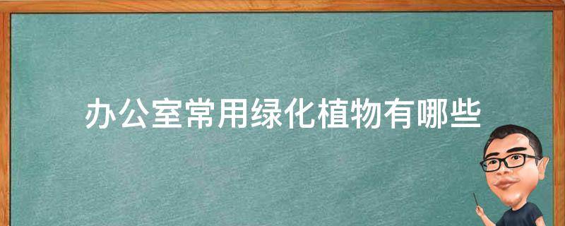 办公室常用绿化植物有哪些