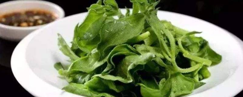 冰草怎么炒好吃的做法-墨子百科 冰草怎么炒好吃的做法