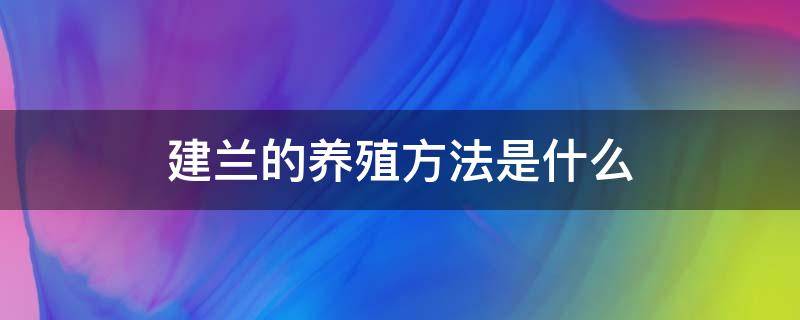 建兰的养殖方法是什么