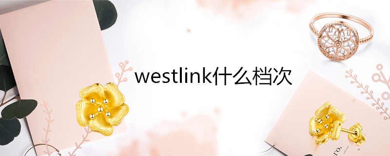 westlink什么档次