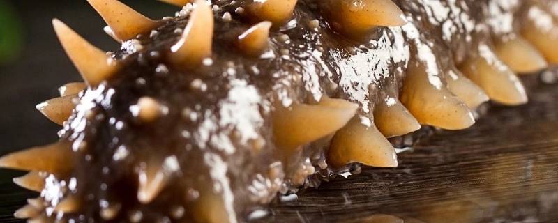 海参怎么炒好吃-墨子百科 海参怎么炒好吃