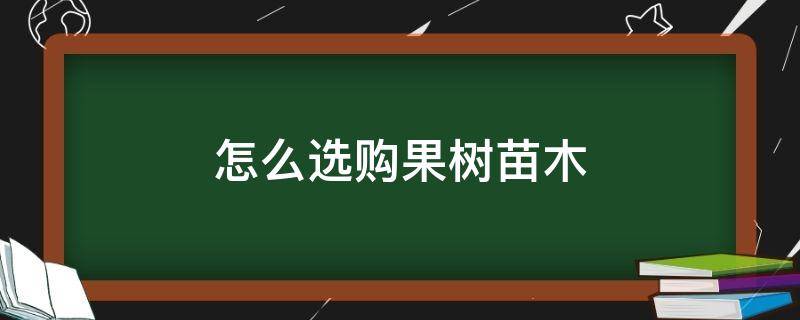 怎么选购果树苗木