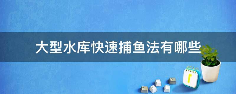 大型水库快速捕鱼法有哪些