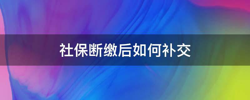 社保断缴后如何补交