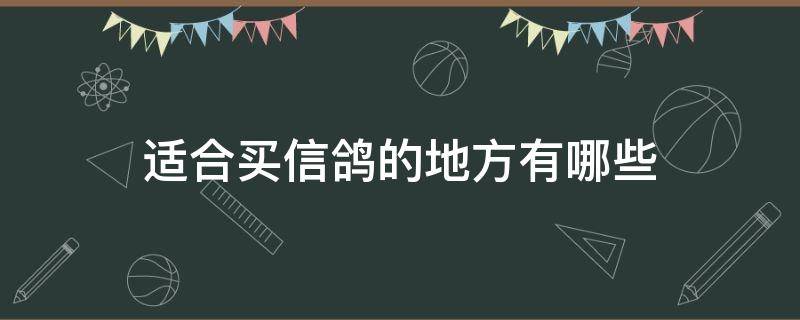 适合买信鸽的地方有哪些