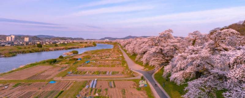 日本盐釜市离仙台远吗