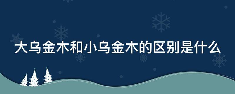 大乌金木和小乌金木的区别是什么