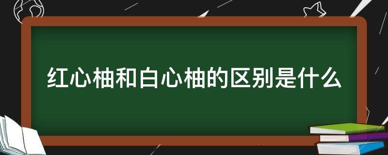 红心柚和白心柚的区别是什么