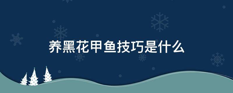 养黑花甲鱼技巧是什么