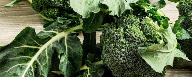 兰花菜怎么炒好吃-墨子百科 兰花菜怎么炒好吃