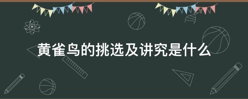 黄雀鸟的挑选及讲究是什么