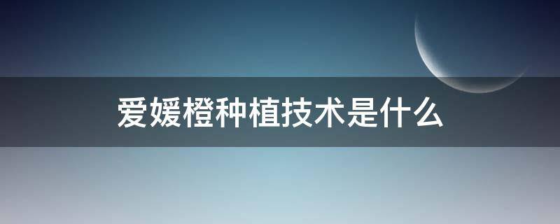 爱媛橙种植技术是什么