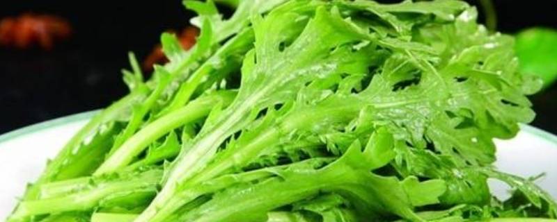 茼蒿怎么洗-墨子百科 茼蒿怎么洗