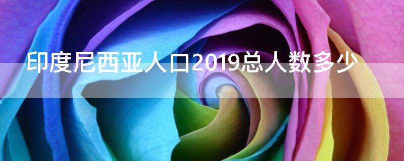 印度尼西亚人口2019总人数多少