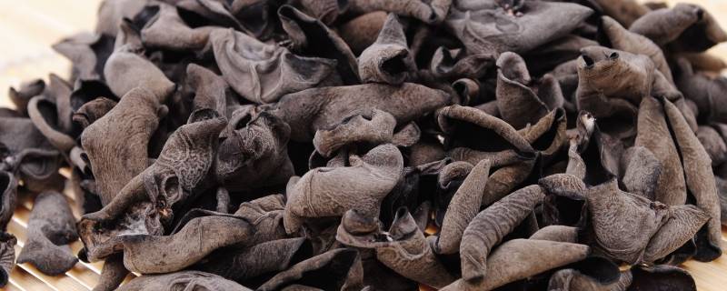 泡发木耳隔夜可以吃吗-墨子百科 泡发木耳隔夜可以吃吗