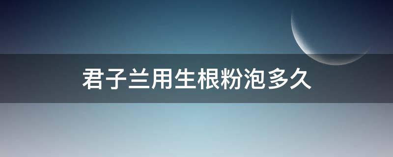 君子兰用生根粉泡多久