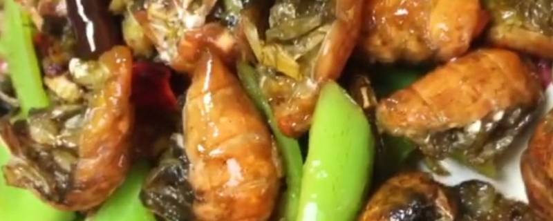 蝼蛄虾怎么做好吃-墨子百科 蝼蛄虾怎么做好吃
