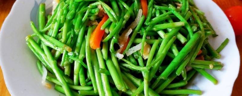 篱蒿怎么炒-墨子百科 篱蒿怎么炒