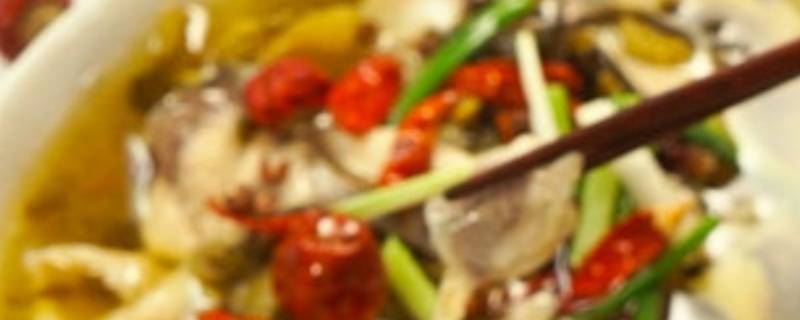 酸菜鱼是哪里的菜-墨子百科 酸菜鱼是哪里的菜