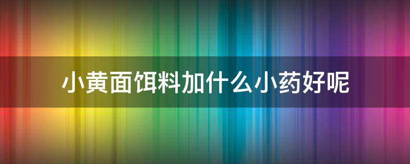 小黄面饵料加什么小药好呢