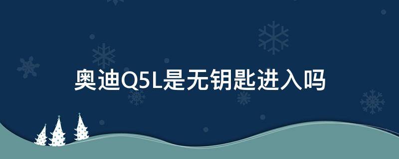 奥迪Q5L是无钥匙进入吗