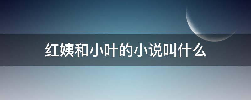 红姨和小叶的小说叫什么