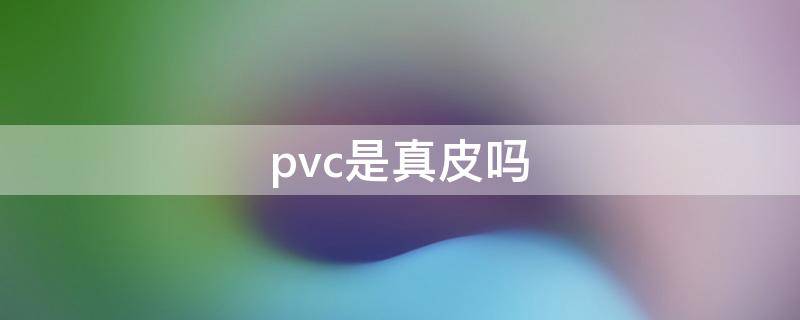 pvc是真皮吗