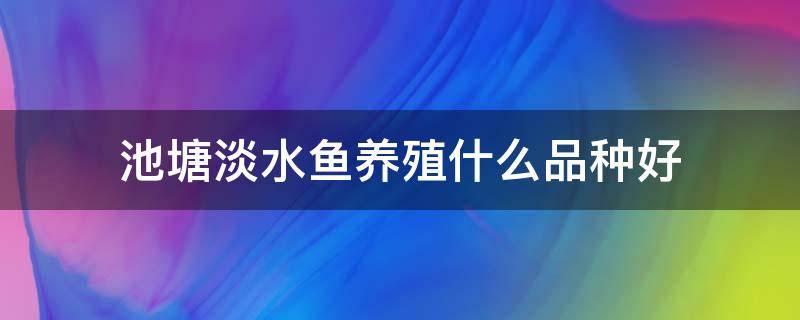 池塘淡水鱼养殖什么品种好