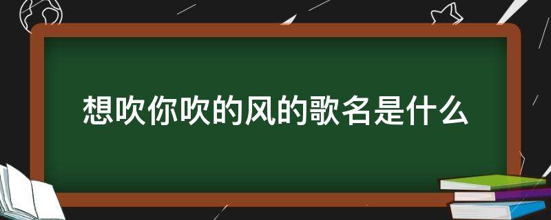 想吹你吹的风的歌名是什么