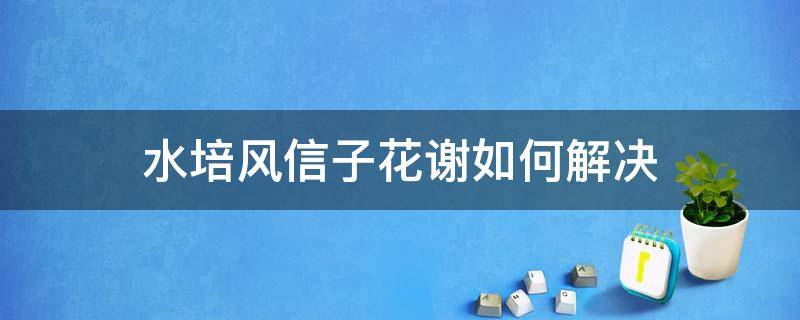 水培风信子花谢如何解决