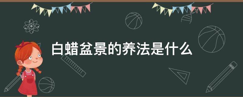 白蜡盆景的养法是什么