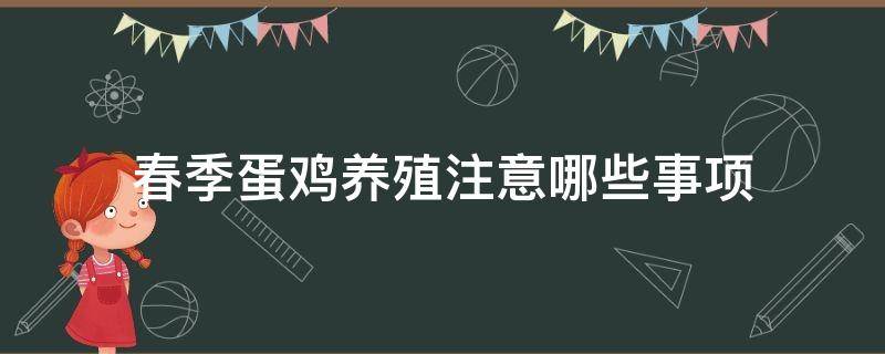 春季蛋鸡养殖注意哪些事项