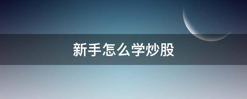 新手怎么学炒股