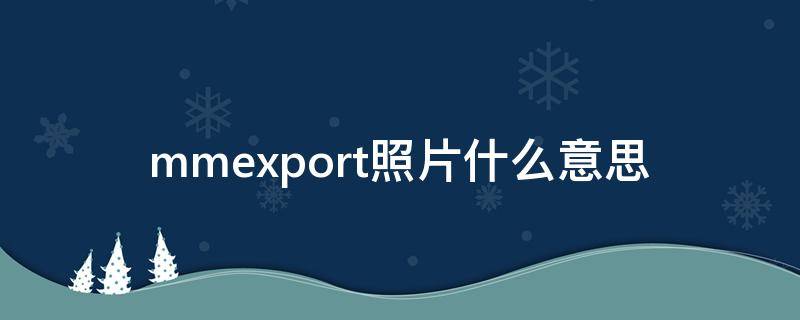 mmexport照片什么意思