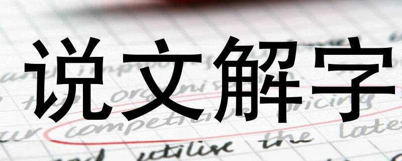 说文解字为什么被称为汉字字典的开山之作