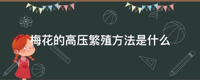 梅花的高压繁殖方法是什么