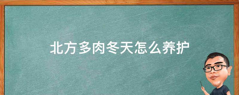 北方多肉冬天怎么养护