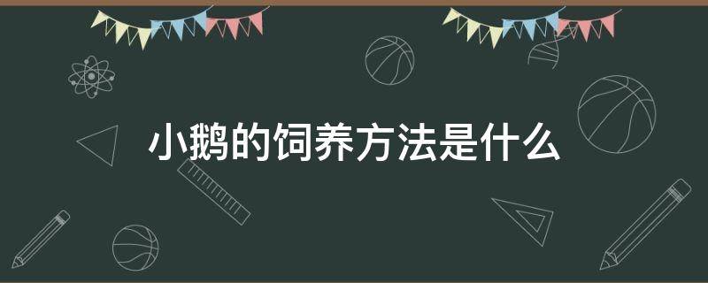 小鹅的饲养方法是什么