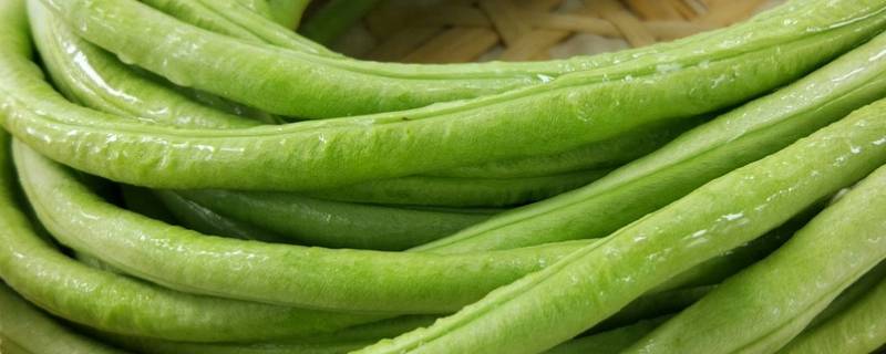 豆角怎么炒才好吃-墨子百科 豆角怎么炒才好吃