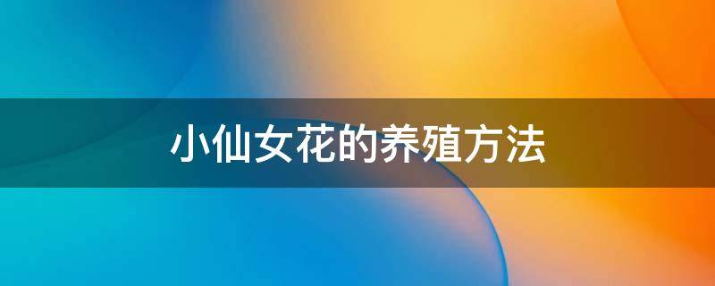 小仙女花的养殖方法-墨子百科 小仙女花的养殖方法