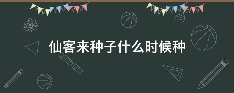 仙客来种子什么时候种