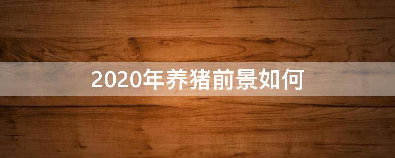 2020年养猪前景如何