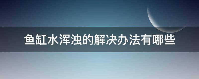 鱼缸水浑浊的解决办法有哪些