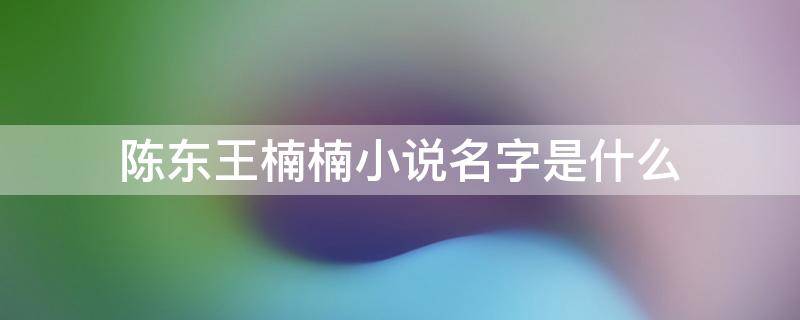 陈东王楠楠小说名字是什么