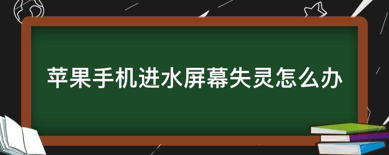 苹果手机进水屏幕失灵怎么办