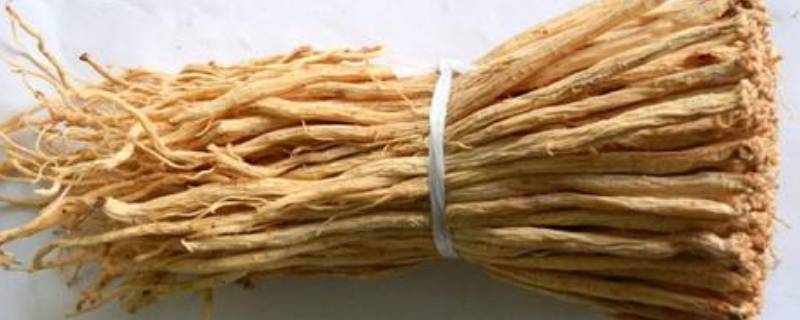 党参怎么炒-墨子百科 党参怎么炒