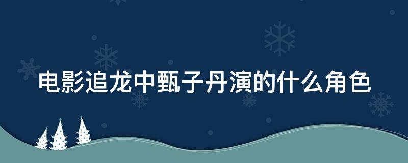 电影追龙中甄子丹演的什么角色